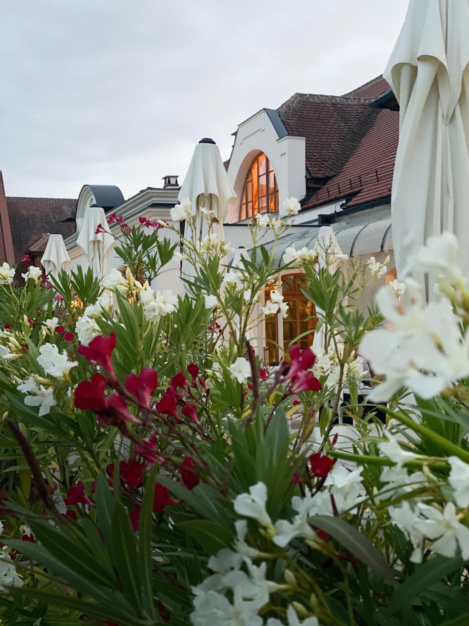 Schloss Thalheim Sankt Poelten Dış mekan fotoğraf